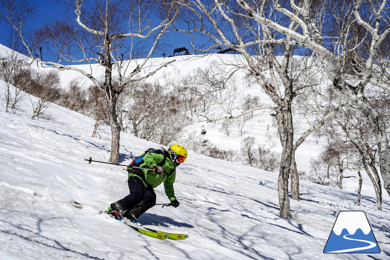 ニセコグラン・ヒラフ DYNASTAR SKI TEST RIDE DAYS Photo Session!!最高の天気に恵まれたニセコに、最高の仲間たちが集まりました☆